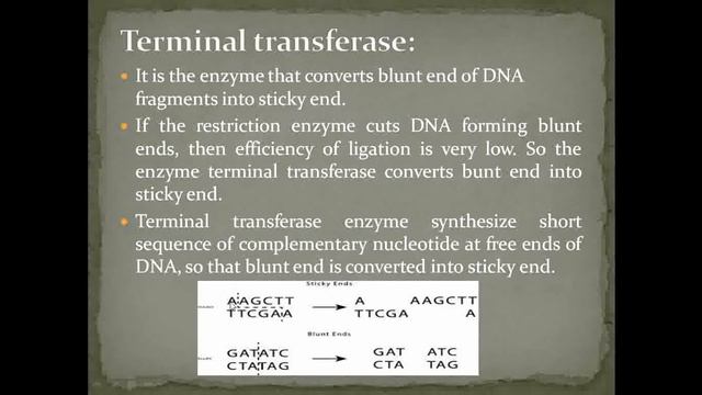Recombinant DNA Technology смотреть онлайн