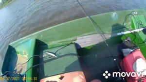 Лес и Рыба июль-2021-часть-3