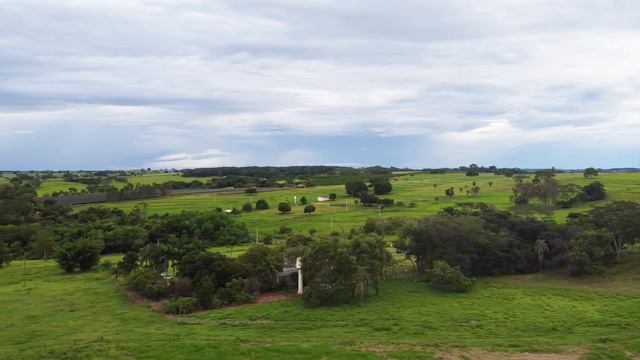 【絶唱】闘莉王、ハイトーンボイスを披露!?ギター名人の師匠と魂を震わせる圧巻ハーモニーを牧場に響かせる