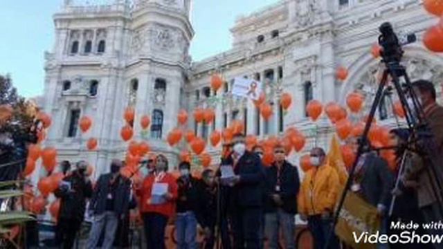 Multitudinarias manifestaciones en toda España contra la Ley de Educación смотреть онлайн