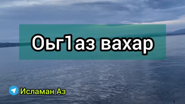 Оьг1аз вахар. Шейх Абу-Малик смотреть онлайн