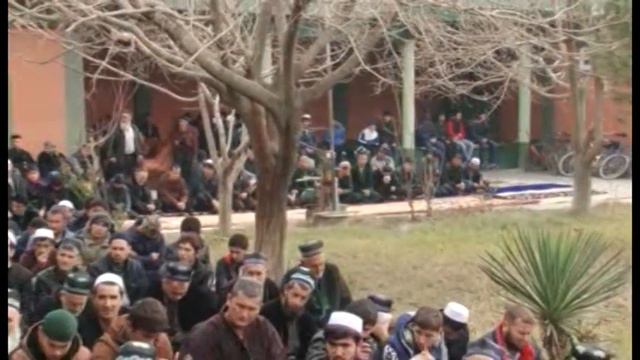 Малуд 2015 1 смотреть онлайн