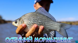 Осенний мормышинг! Карась на МОРМО!