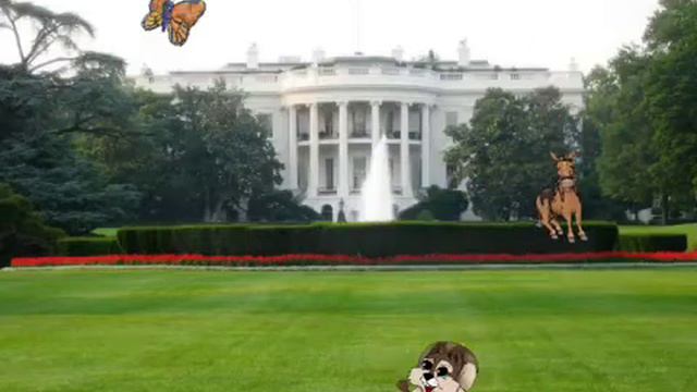 Saga смотреть онлайн