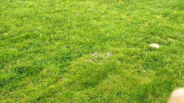 Tribute to ( IRENE HANDL ) London, UK #Theitalianjob #carryon #metalmicky.#41 смотреть онлайн