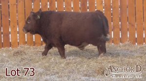 Lot #73 Anchor D Kameron 142K