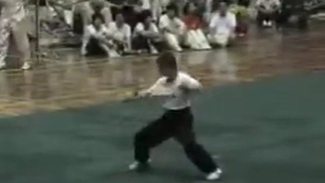 Цай Ли Фо 14   www taishe ru   Choy Li Fut смотреть онлайн