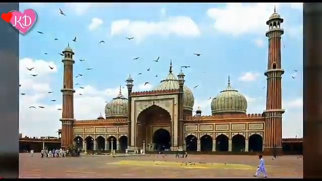 Ali ali molua Ali ali смотреть онлайн