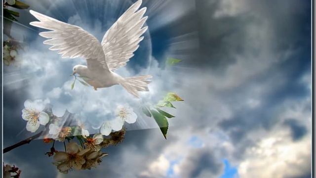 Мой фильм  БЕЛЫЕ КРЫЛЬЯ