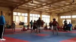 Kung Fu Sanda Fight