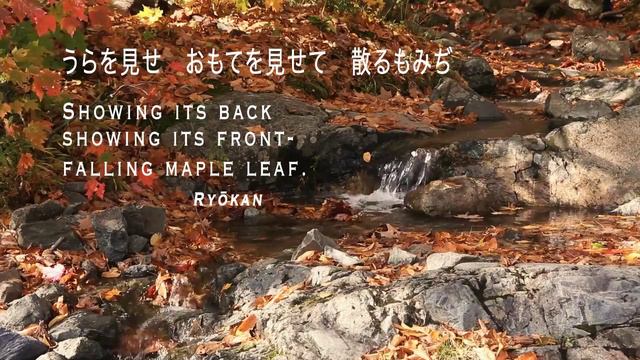 O-sensei Hamamoto Hisao Great Dragon, Hachimanryu Battojutsu смотреть онлайн