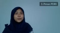 Pemerintahan Darurat Republik Indonesia (PDRI)