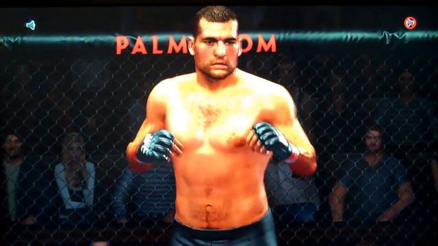 James Irvin vs. Shogun Rua for the Light Heavyweight Championship