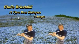 Briccialdi 16 Flute Duos Dialogues Op.132  7.Adagio/ブリッチャルディ16の二重奏 7.Adagio