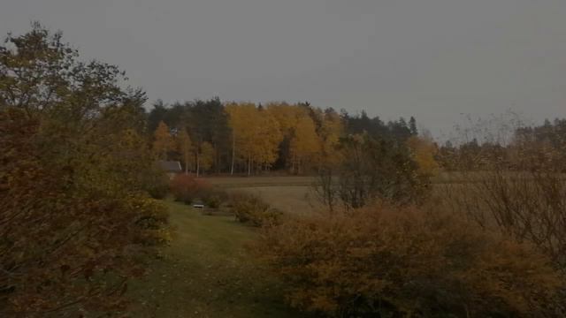 Onnenhetkiä смотреть онлайн