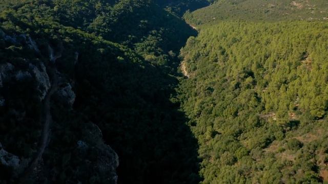 Mount Carmel National Park, 22/12/19 смотреть онлайн