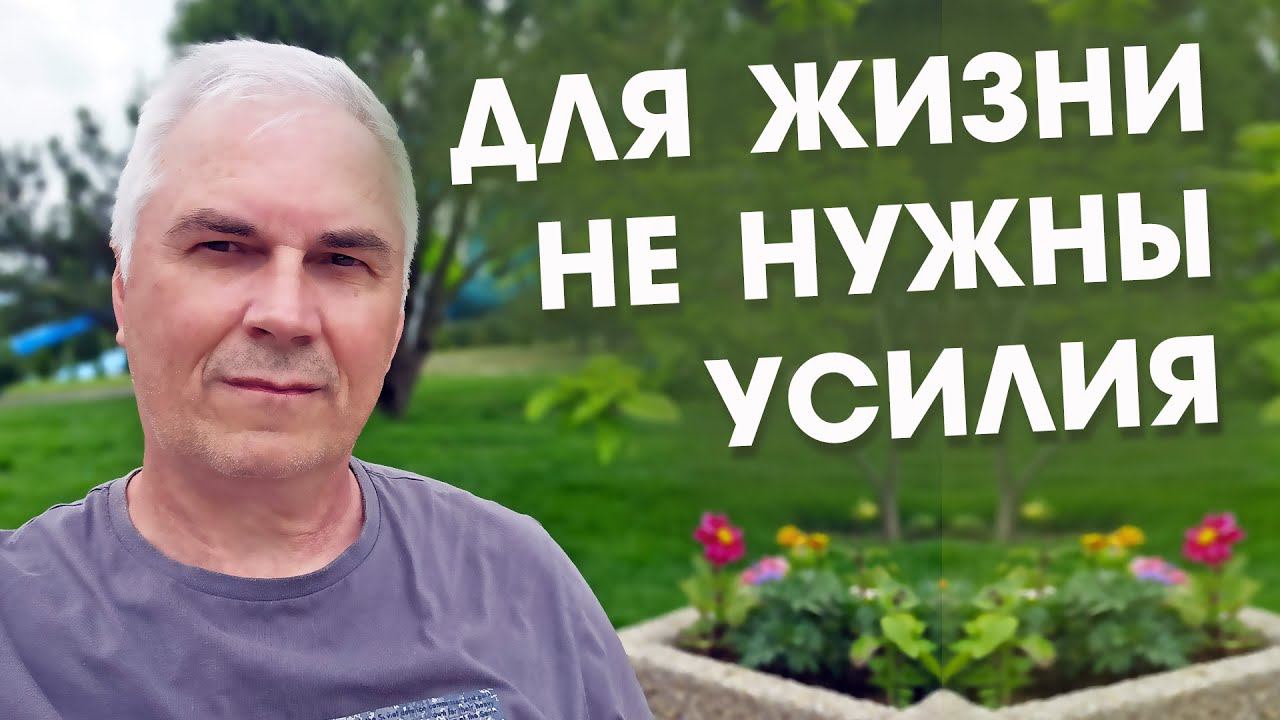 Как жить в потоке Жизни?    Александр Ковальчук  Психолог Отвечает