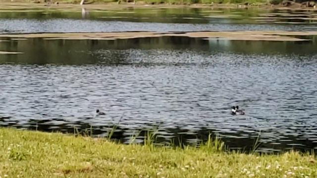 Andrew Earle Simpson, The Mountains in the Clouds смотреть онлайн