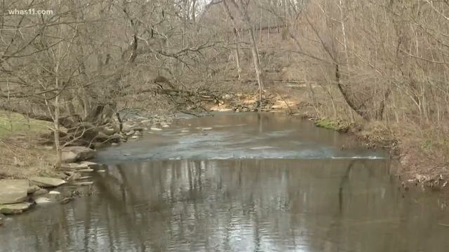 Female runner chase by man in Cherokee Park смотреть онлайн