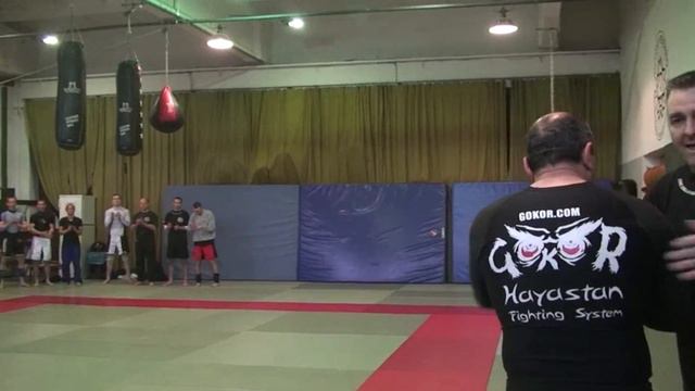 Gokors Chivichyan Seminar tour in Europe April 2014 смотреть онлайн