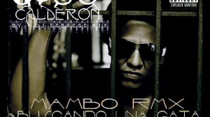 TEGO CALDERON -BUSCANDO UN AGATA- BY DJ SABROSO MIX -MAMBO 2012.wmv