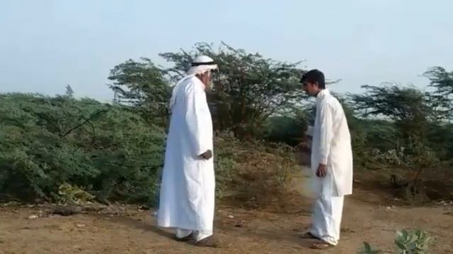 Parki zameen na dhari смотреть онлайн