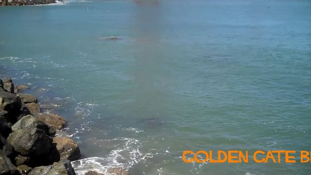 San Francisco Locations Used in Hitchcock's 'Vertigo' смотреть онлайн