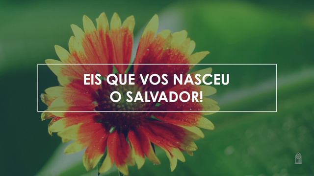 Novo Hinário Adventista  Hino 93  Nasceu O Salvador  Lyrics