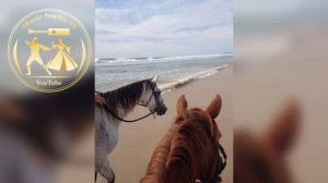 Сан Безам Новинка😻♥️