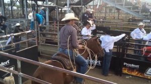 ERA Rodeo, Sheridan Wy. 9/3/16 Mike Lott, Trevor Brazil, Tuff Cooper, Clint Cooper & Stran Smith