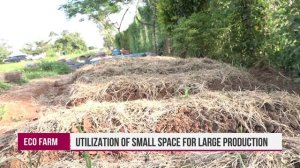 Dr. Gudula Naiga Basaza with Tush on Urban Farming live of Smart Farm on Smart 24 TV