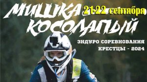 Мишка косолапый-2024 класс бронза.
