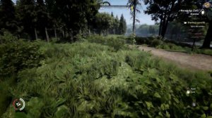 Medieval Dynasty Trainer +9