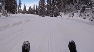 Luge Experience in Charmey.ch|#Sledfirstexperience#snowsport#Candicecattin