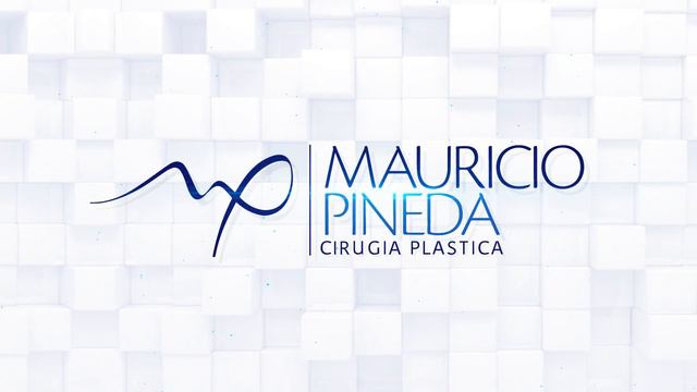 Presentación Mauricio Pineda