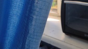 Тайская кошка Суматра, 14 лет