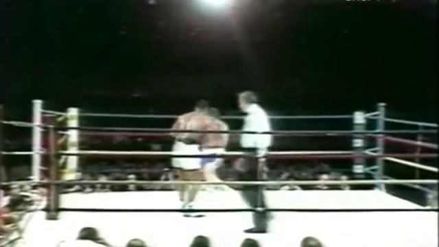 Тайсон - Хэлпин 3 бой