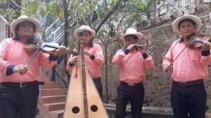 MAÑANA ME VOY (PEDRO BERMUDEZ)