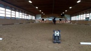 Essa Virtual Dressage- Senior Training, Test A- Megan Robertson & Diva on a Dime- Jun.27/21