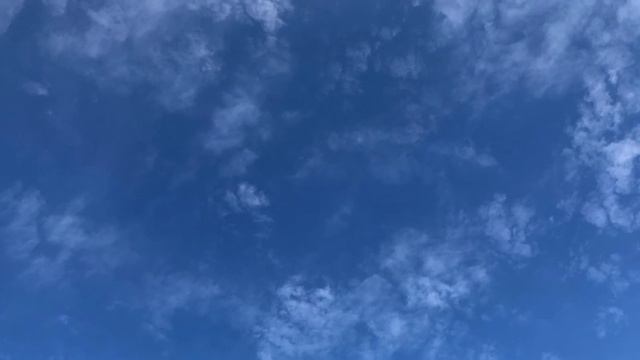 Delusions смотреть онлайн