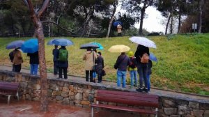 El Paseo de Robert Walser en Kosmópolis 2017