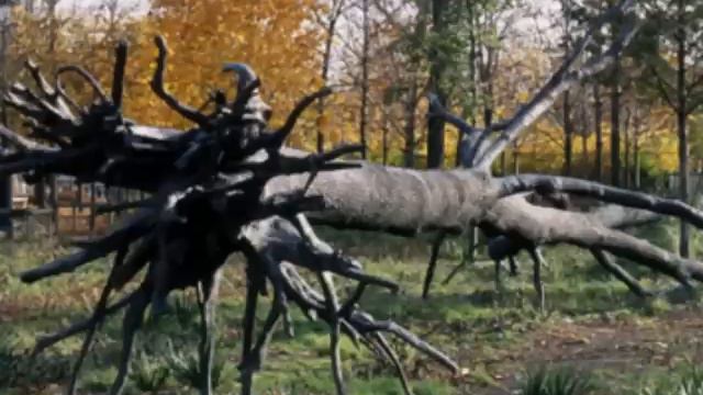 Penone l'arbre des voyelles 1999 смотреть онлайн