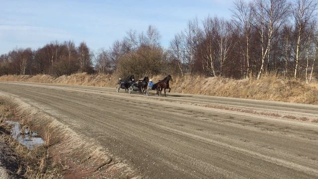 Stall Giuseppe Lubrano - Rakbanan Balltorp 18 mars 2016 (del 1) смотреть онлайн