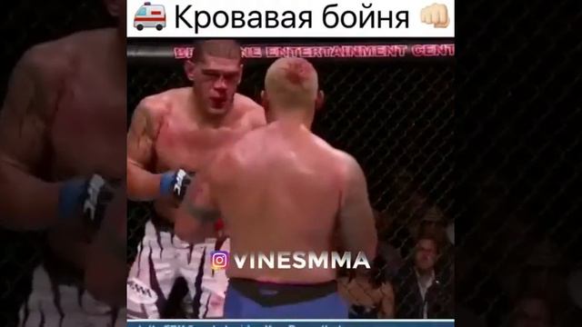 Марк Хант  Антонио Сильва