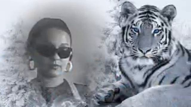 MOJE RODINA 2011 смотреть онлайн