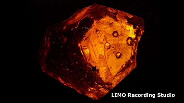 Night at the Dance Hall - Twin Musicom смотреть онлайн