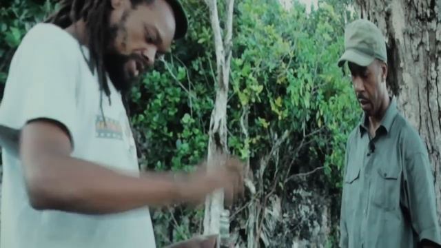 Akwantu: the Journey Exclusive Test Screening in Toronto (audience reactions) смотреть онлайн