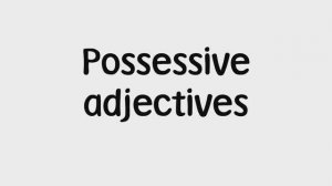 Harmonize Starter - Grammar: Possessive adjectives (Welcome Unit)