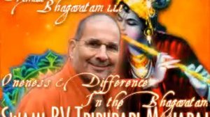 Oneness & Difference In The Bhagavatam - Swami BV Tripurari Maharaj [6]