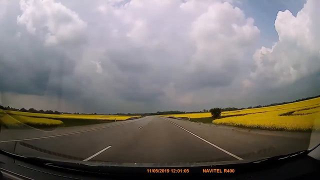 Рапсовые поля Калининградская область Гусевский район май 2019г смотреть онлайн